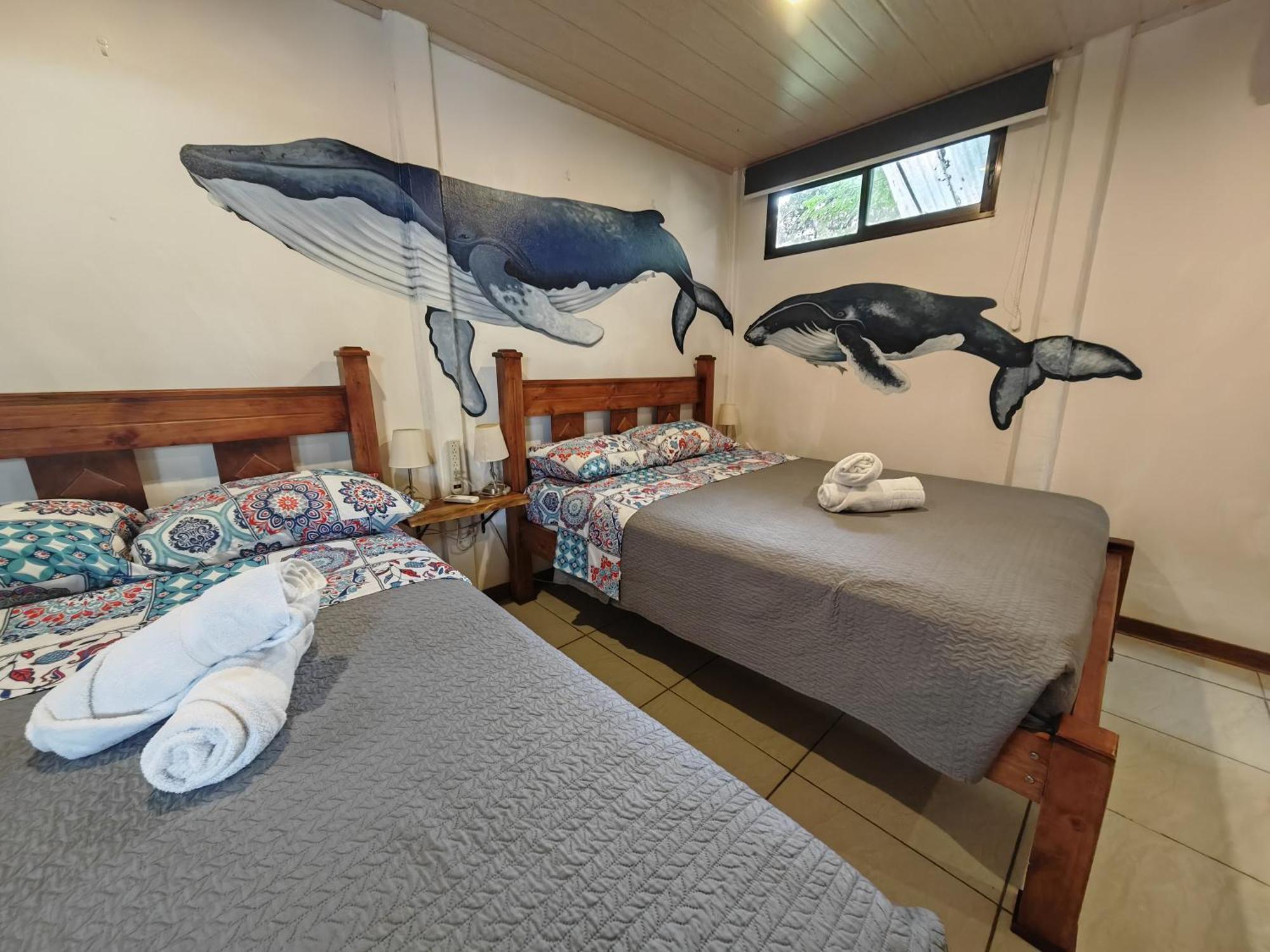 Tucan Hotel Увіта Номер фото
